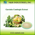 Reliable supplier and high quality garcinia cambogia extract(hca 50%/60%)